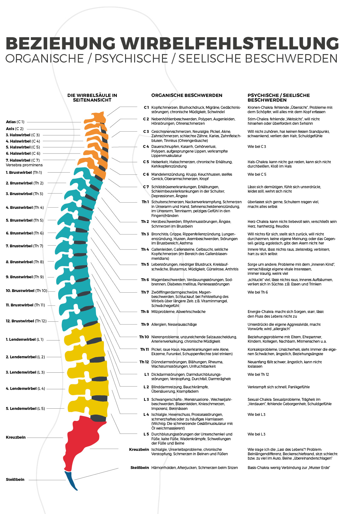 Schematische Darstellung einer Wirbelsäule mit Bezeichnung der Wirbel und Zuordnung von Krankheitsbildern